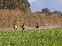 2018 Hubertusjagt Storstrøms Jagtrideklub